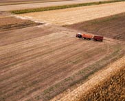 Conception de site web pour votre domaine agriculture