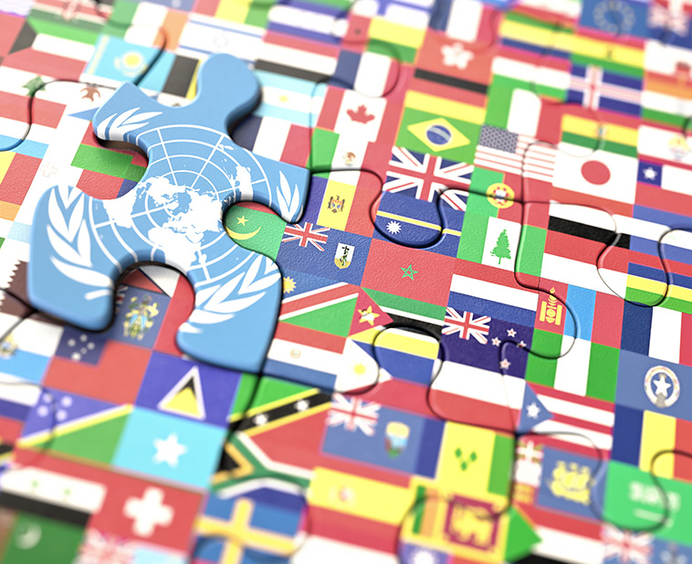 Conception de site web pour votre domaine international